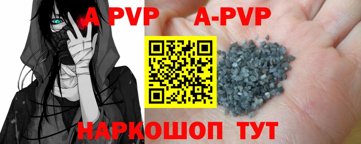 Альфа ПВП СК Петрозаводск