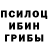 Псилоцибиновые грибы мицелий Nina Brickovskaja