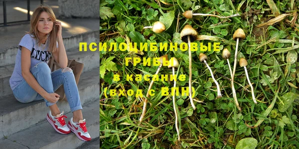 эйфоретик Алексин
