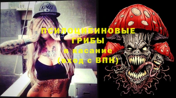 дмт Алзамай
