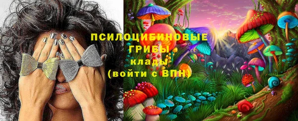 дмт Алзамай