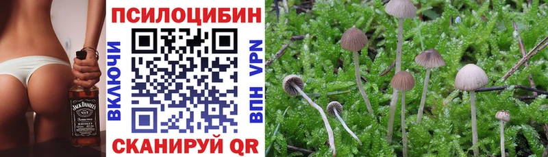 Галлюциногенные грибы мицелий  Петрозаводск 
