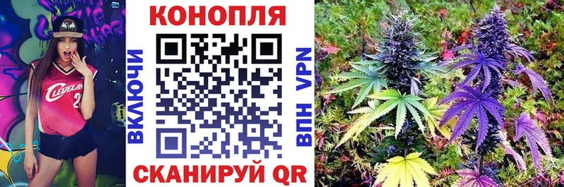 закладка блэк спрут ссылка Каннабис тримм Петрозаводск